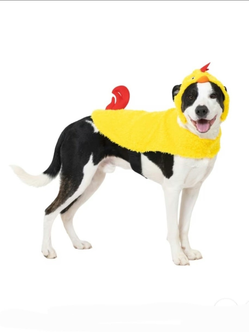 Yellow Chicken Dog Costume ~ XL